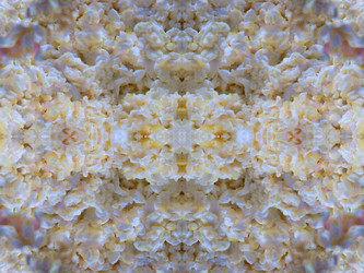 Similar image 22644627