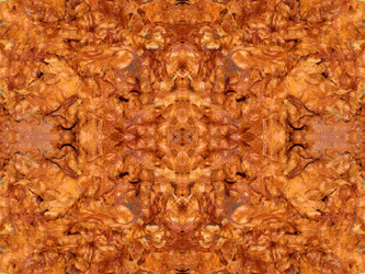 Similar image 22644668
