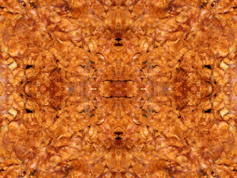 Similar image 22644687