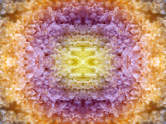 Similar image 22635035