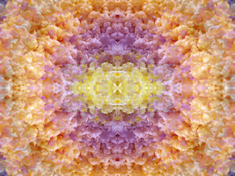 Similar image 22634735