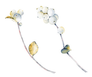 Similar image 22637706