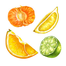 Similar image 22637729