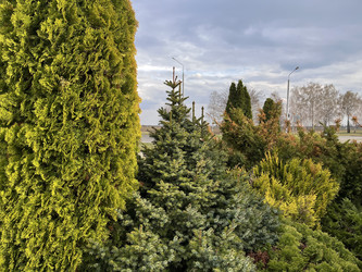 Similar image 22636024