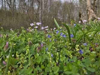 Similar image 22633149