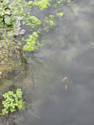 Similar image 22633150