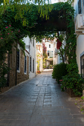 Similar image 22634540