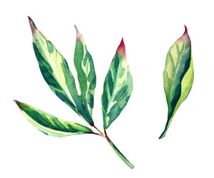 Similar image 22637732