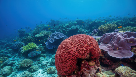 Similar image 22634042