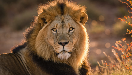 Similar image 22639412