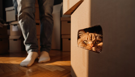 Similar image 22634088