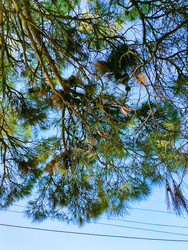 Similar image 22635466