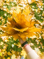 Similar image 22635469