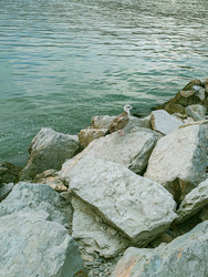 Similar image 22635473