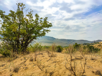 Similar image 22635476