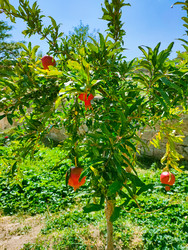 Similar image 22635482