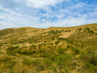 Similar image 22635483