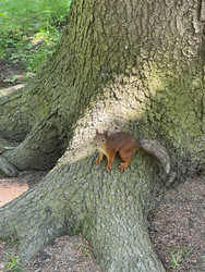 Similar image 22634208