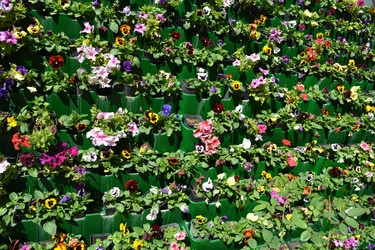 Similar image 22636103