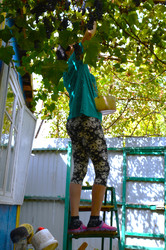 Similar image 22636108
