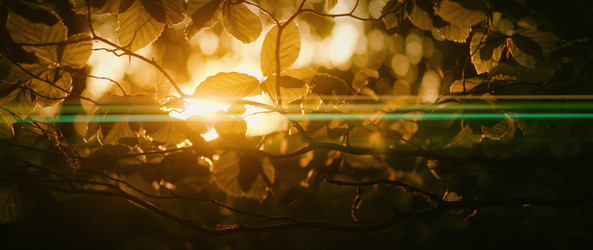 Similar image 22634002