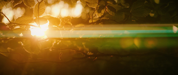 Similar image 22634091