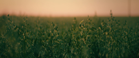 Similar image 22639282