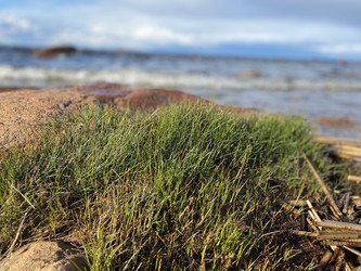 Similar image 22641158