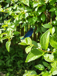 Similar image 22641160