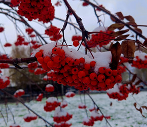 Similar image 22634369