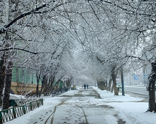 Similar image 22634370