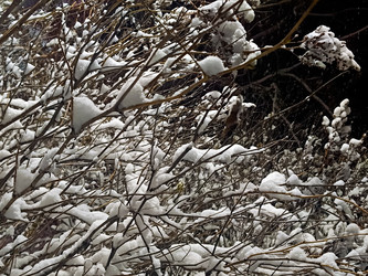 Similar image 22634371