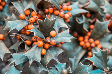 Similar image 22636095