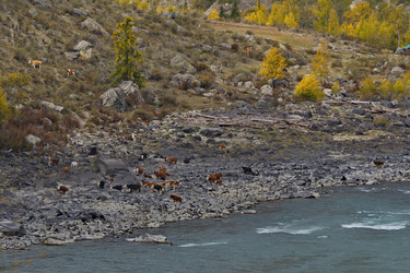 Similar image 22635274