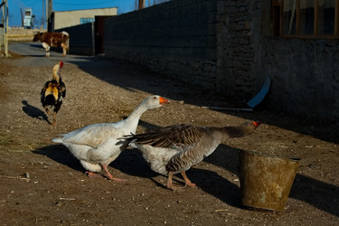 Similar image 22636300