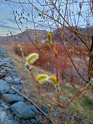 Similar image 22633342