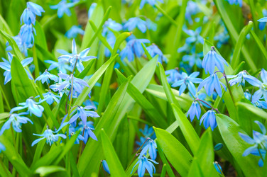 Similar image 22634190