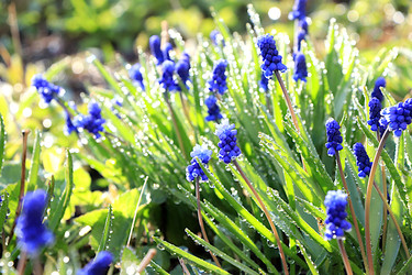 Similar image 22636086