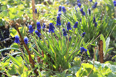 Similar image 22636087