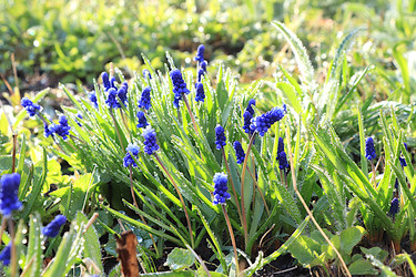 Similar image 22636088