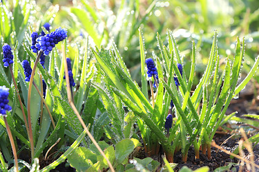 Similar image 22636089