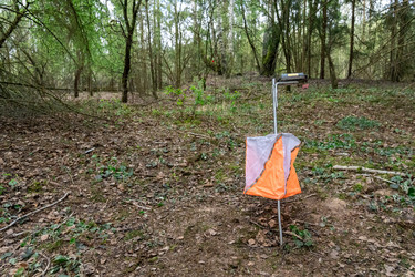 Similar image 22637679