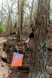 Similar image 22637680