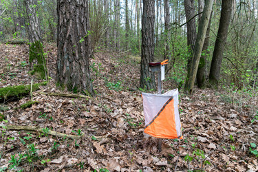 Similar image 22637681