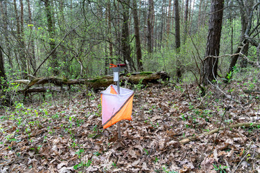 Similar image 22637682