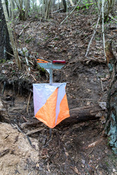 Similar image 22637683