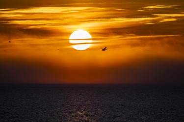 Similar image 22638473