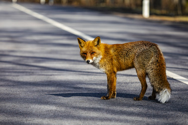 Similar image 22638474