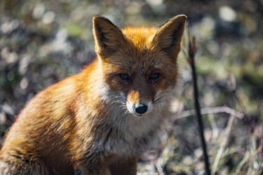 Similar image 22638475