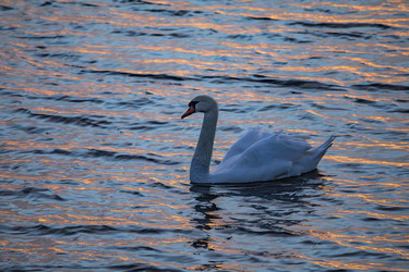 Similar image 22638476